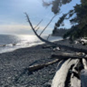 Meet your Posher, Kourtney